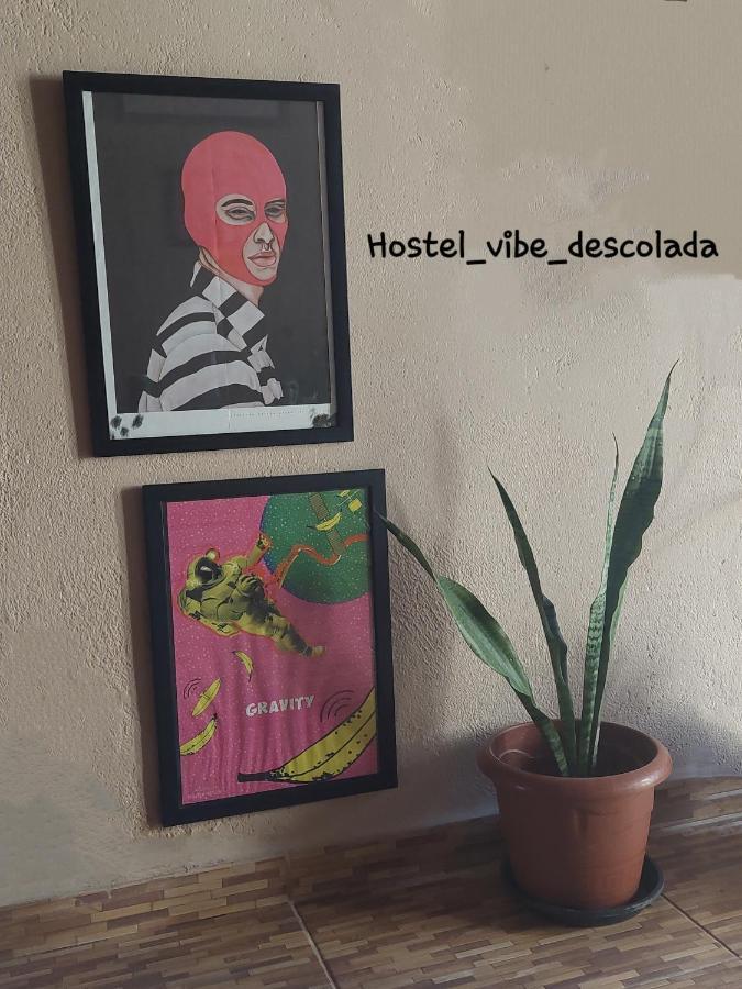 @Hostel_Vibe_Descolada レシフェ エクステリア 写真